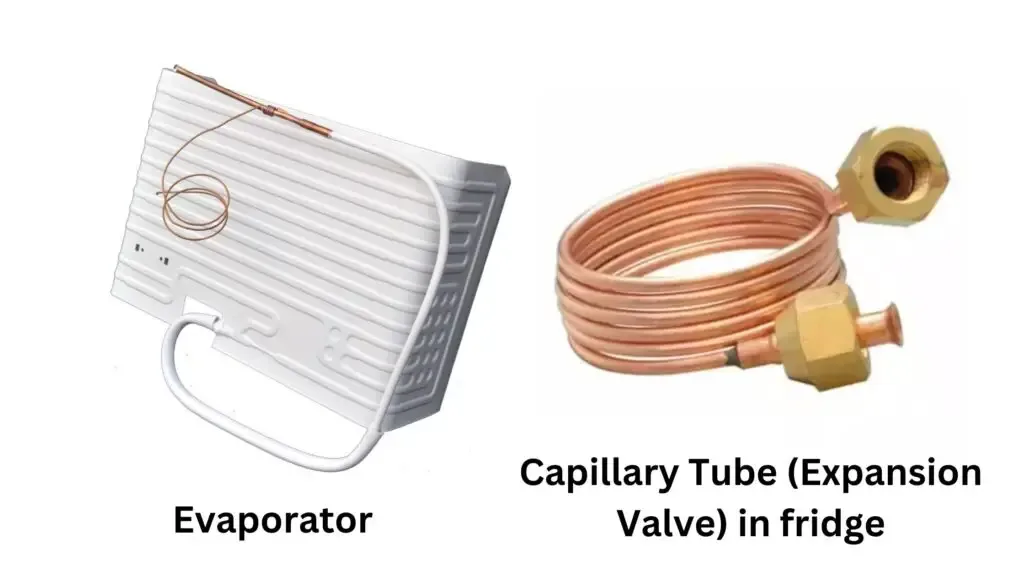 Parts/Components of Laboratory Refrigerators and Freezers
