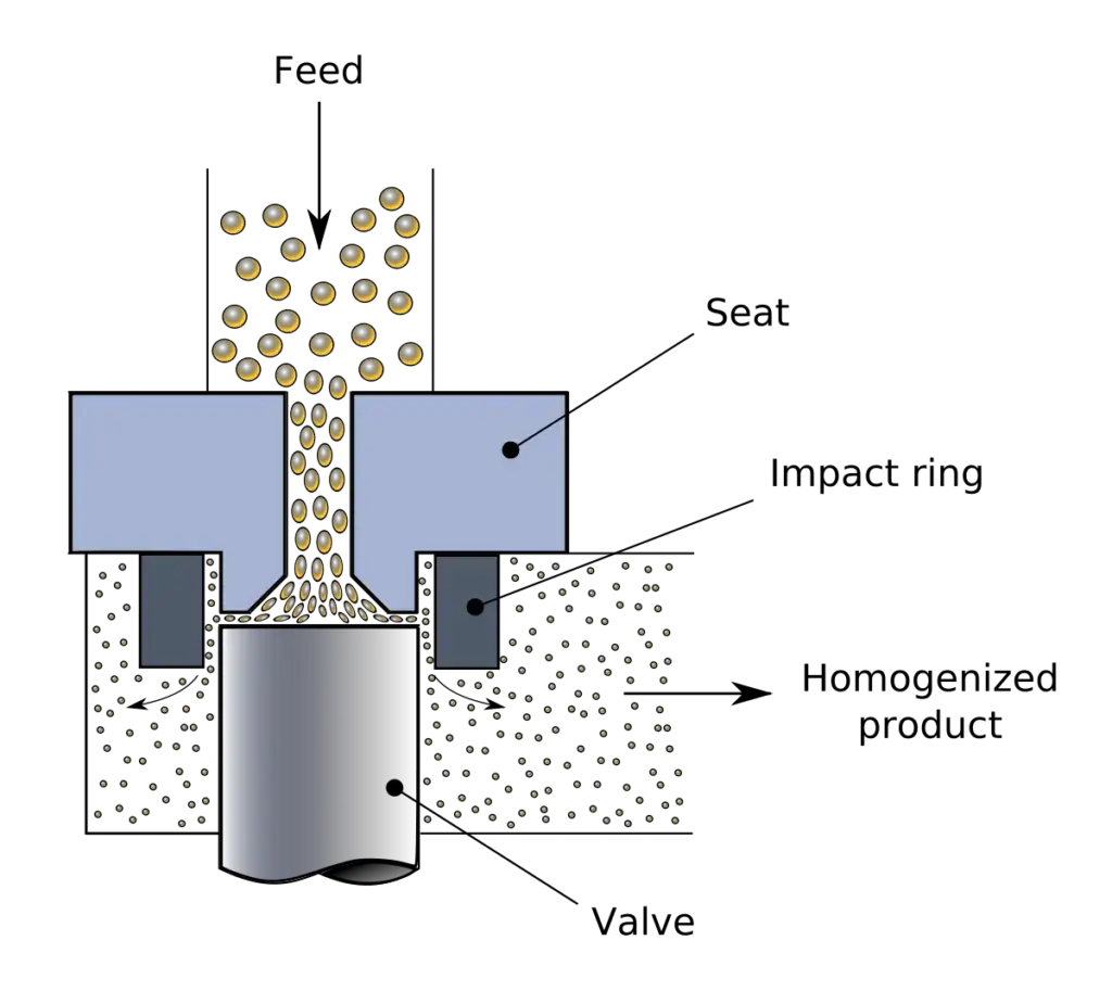 Homogenizer valve 