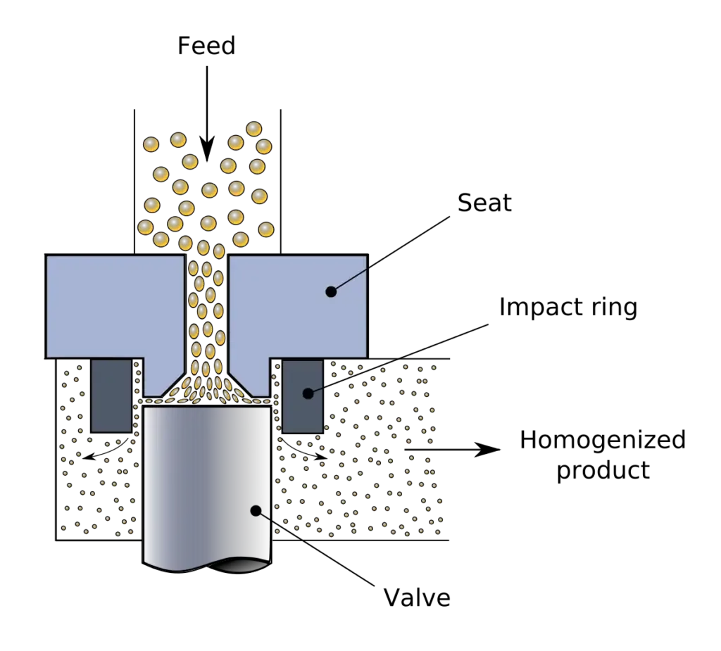 Homogenizer valve 