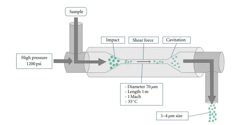 High-pressure homogenizers 