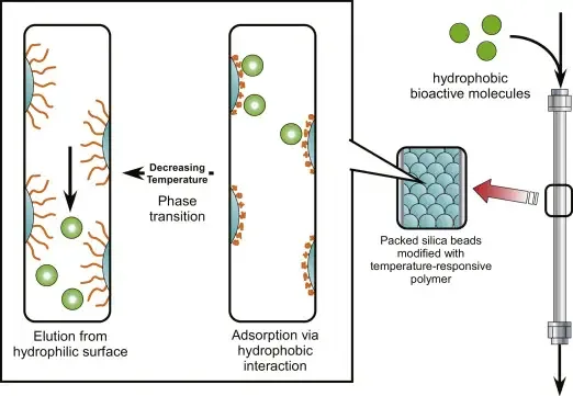 Principle of Reversed-Phase Chromatography