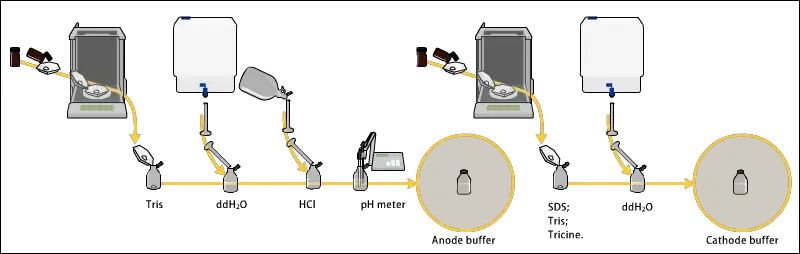 Electrophoresis