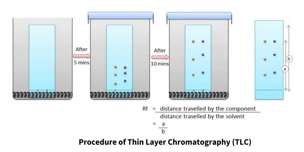 Procedure of Thin Layer Chromatography (TLC)