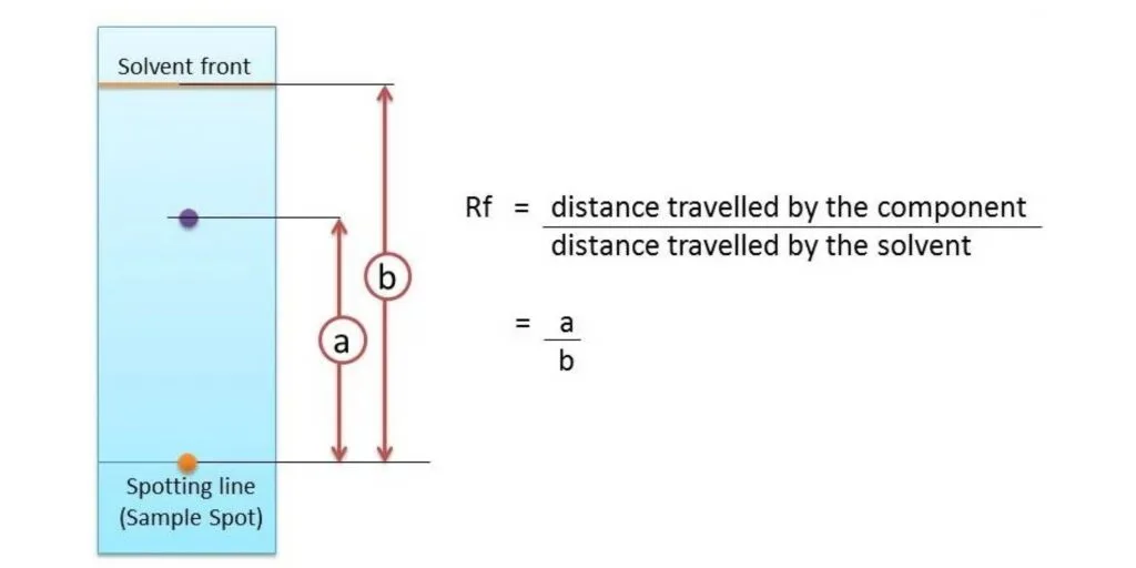 Rf values