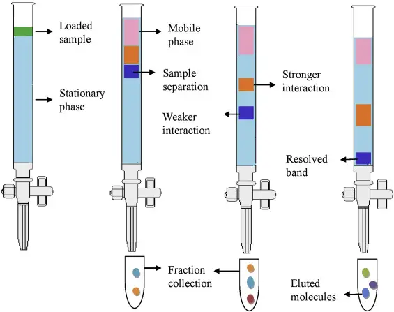 Column Chromatography Procedure