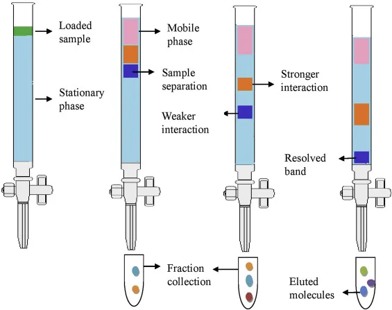 Column Chromatography Procedure
