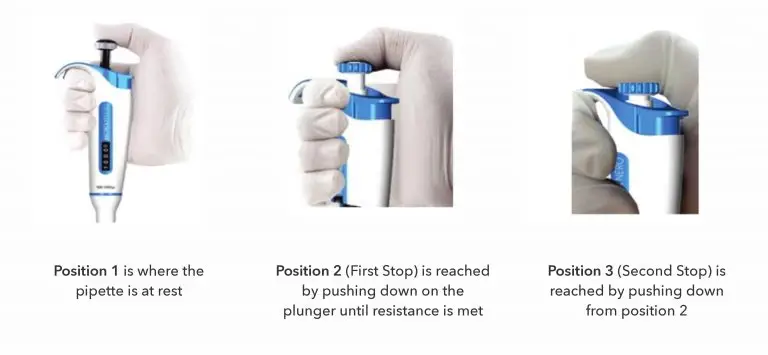 Using an Air Displacement Micropipette