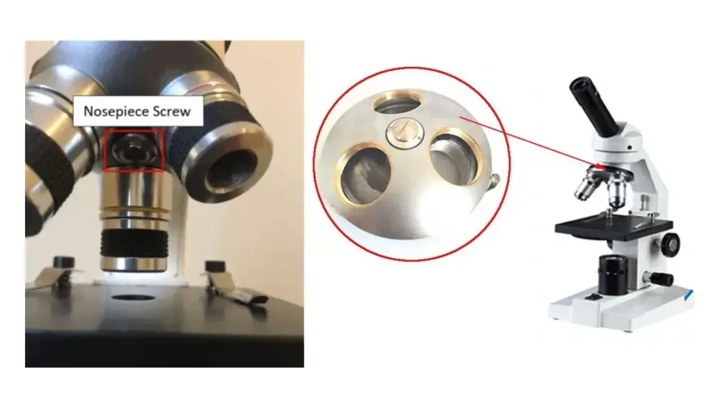 compound microscope – Nosepiece