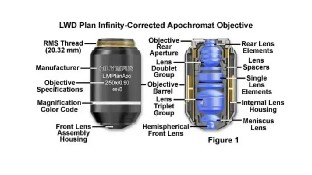 Objective lens of microscope