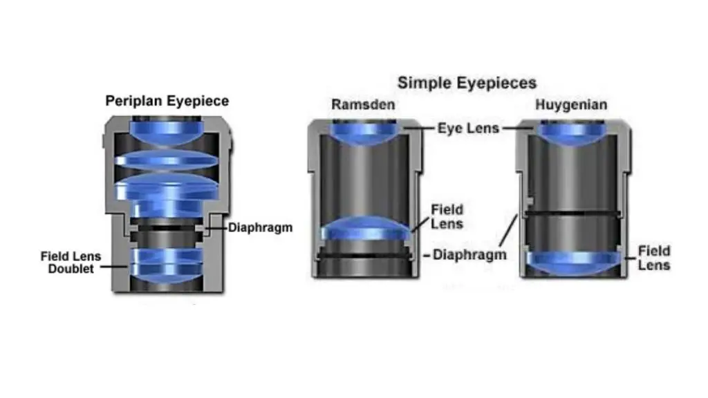 Compound Microscope – Eyepiece