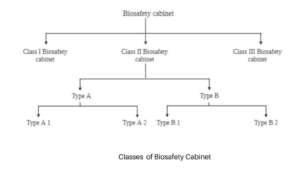 Biosafety Cabinet - Definition, Classification (Class I, II, III ...