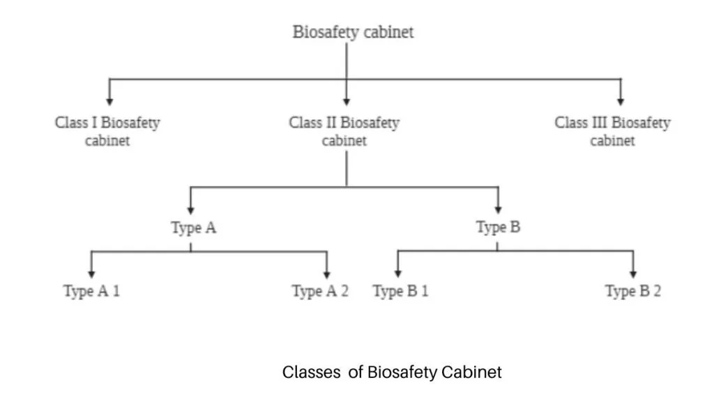 Classes of Biosafety Cabinet