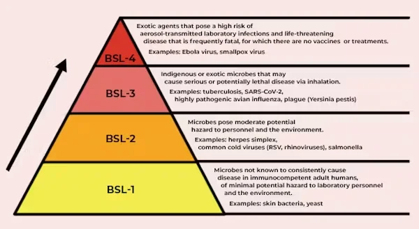 Biosafety levels are defined by how much risk is involved in working with particular pathogens. The Conversation, CC BY-ND