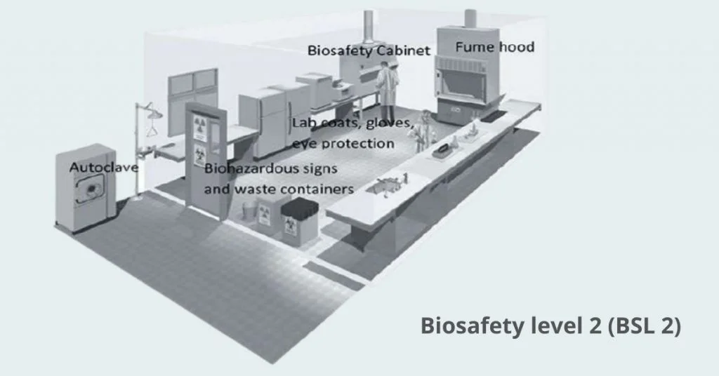 Biosafety levels 2 | Image Source: research.utexas.edu