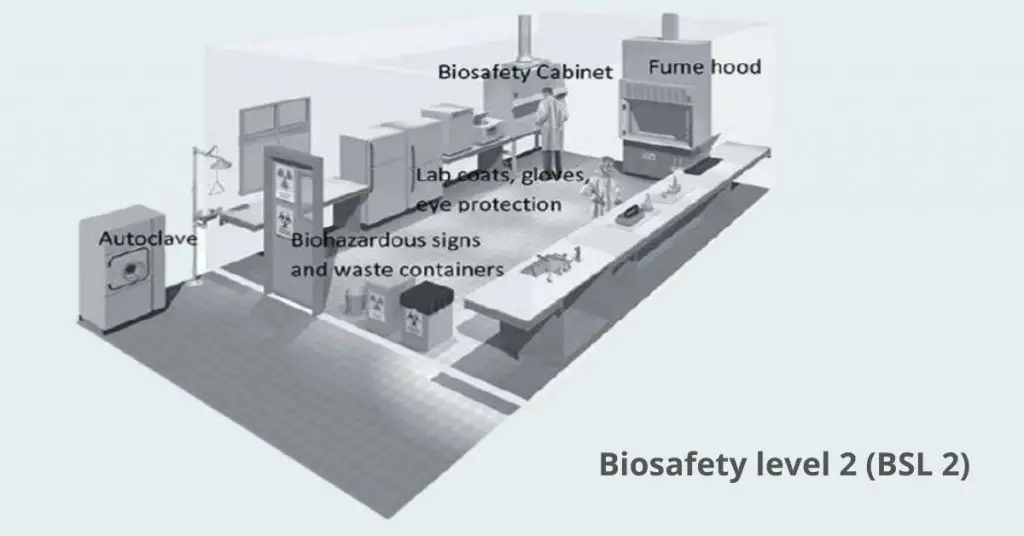 Biosafety levels 2 | Image Source: research.utexas.edu