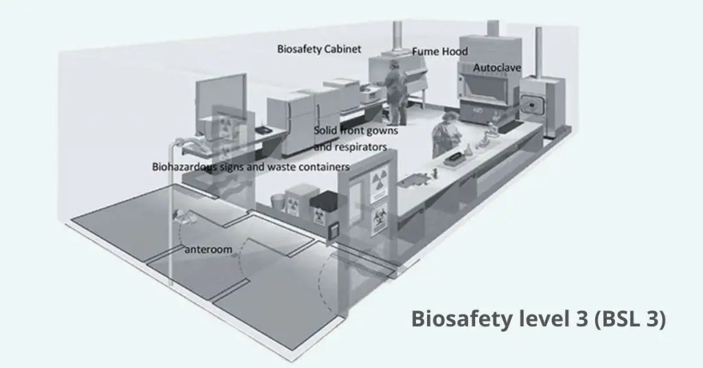 Biosafety levels 3