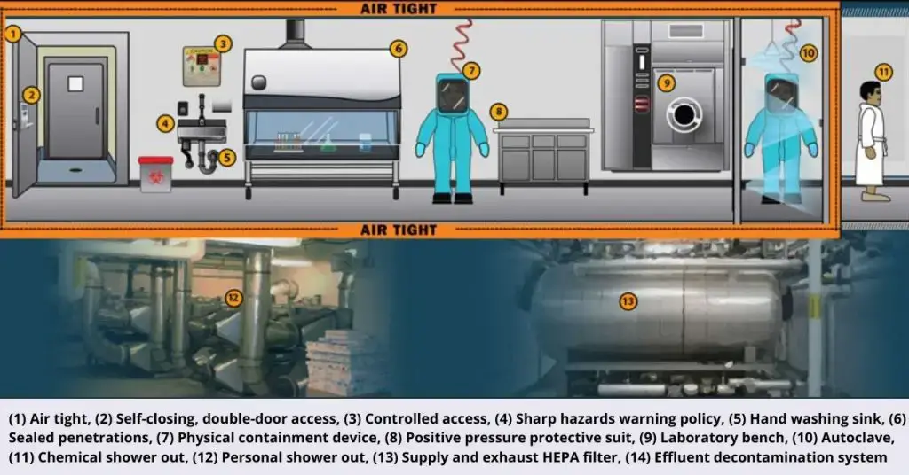 Biosafety levels With their Primary and Secondary Barriers. - Biology ...