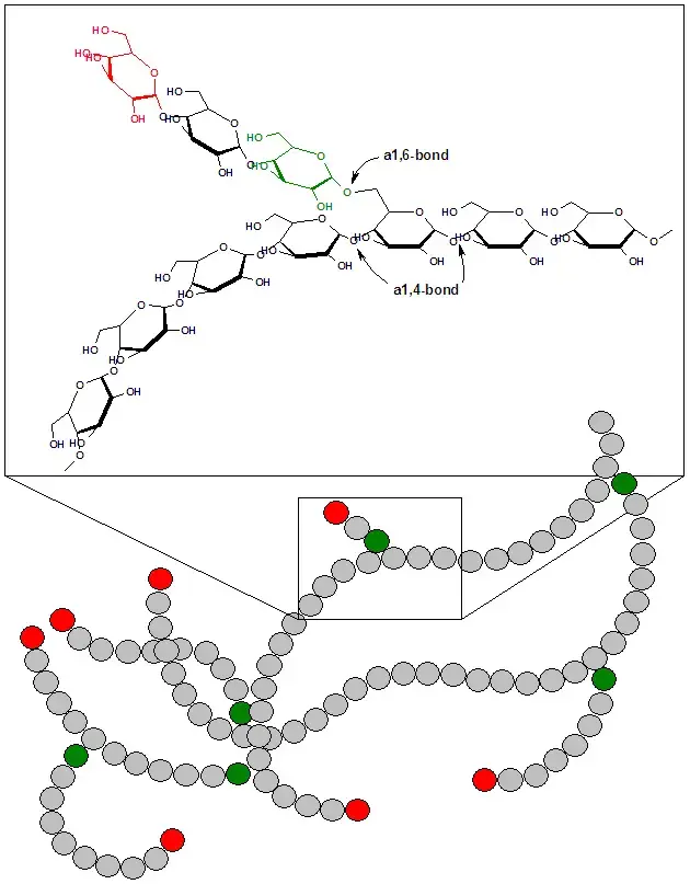 Glycogen Metabolism in Human Body - Biology Notes Online