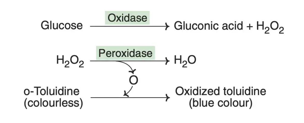 Applications Of Enzymes
