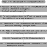 Transfection PEI (Polyethylenimine) Protocol