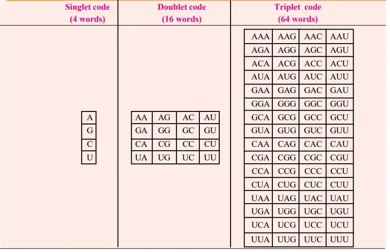 Possible singlet, doublet and triplet codes of mRNA
