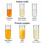 Expected xanthoproteic test results for tyrosine, tryptophan, phenylalanine, glycine, alanine, egg albumin, milk, and gelatin, comparing orange positive and weak or negative reactions.