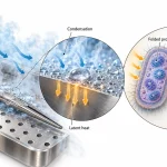 Saturated steam condensing on a metal instrument, releasing latent heat and causing microbial proteins to denature.