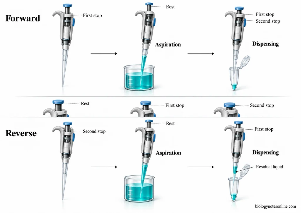 Parallel workflows comparing forward pipetting, which begins at the first stop and ends with blow-out, with reverse pipetting, which begins at the second stop and leaves residual liquid after dispensing.