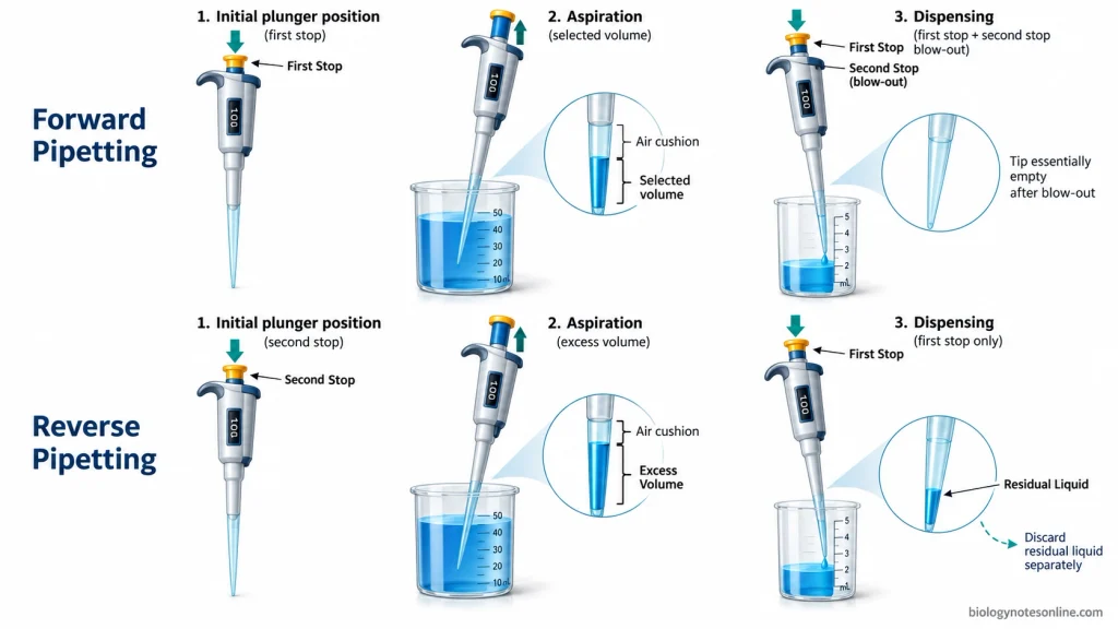 Parallel workflows comparing forward and reverse air displacement pipetting, including plunger stops, aspirated liquid volumes, dispensing and liquid remaining in the tip.