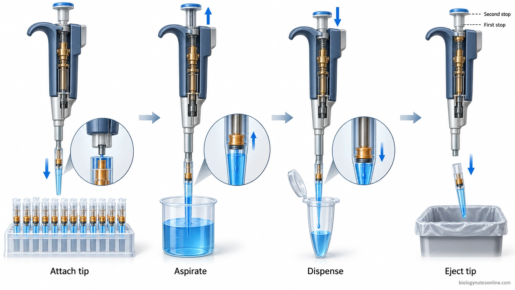 Four-stage laboratory workflow showing attachment of a capillary-piston tip, liquid aspiration, dispensing into a receiving tube, and ejection of the used tip.