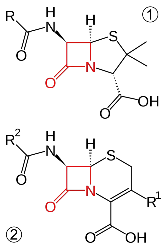 Beta (β) Lactamase Test - Principle, Procedure, Results - Biology Notes ...