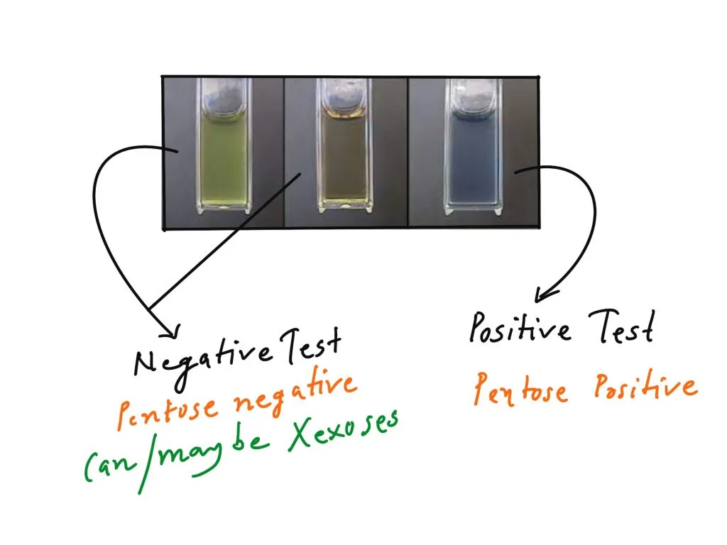 Bial’s test Principle, Objective, Procedure, Result
