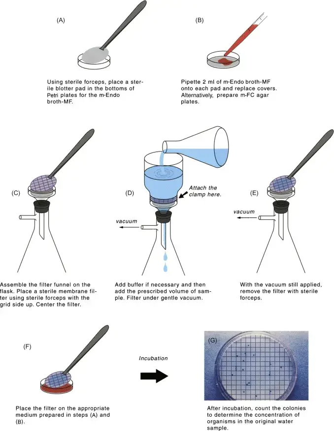 Bacteriological Examination of Waters by Using Membrane Filtration Method 