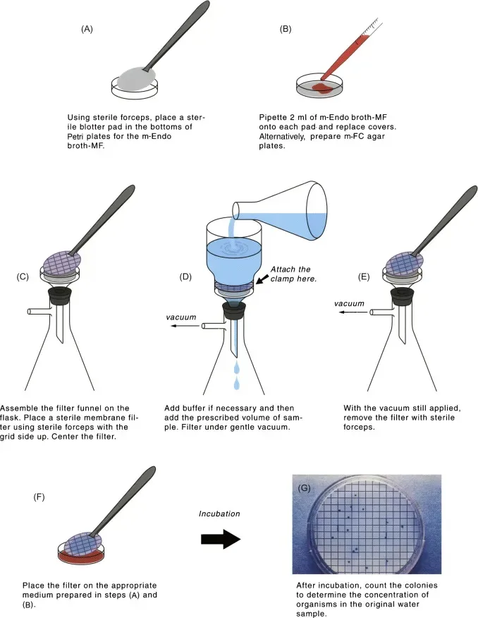Bacteriological Examination of Waters by Using Membrane Filtration Method 