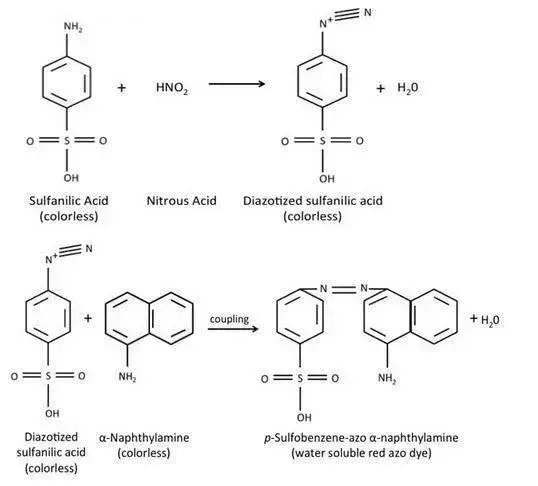 Reactions of Nitrate Reduction Test