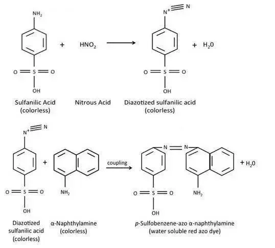 Reactions of Nitrate Reduction Test