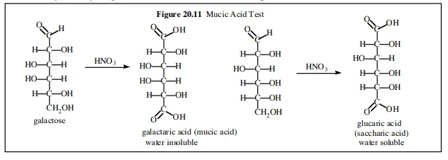 Mucic acid test reaction
