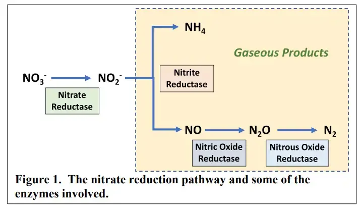 Result and Interpretation of Nitrate Reduction Test