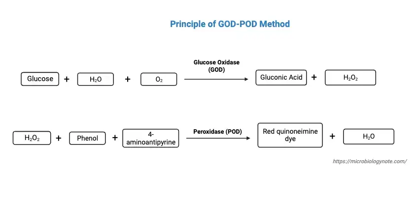 Principle of GOD-POD Method
