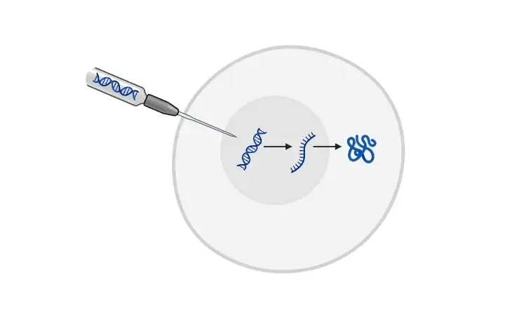 Microinjection