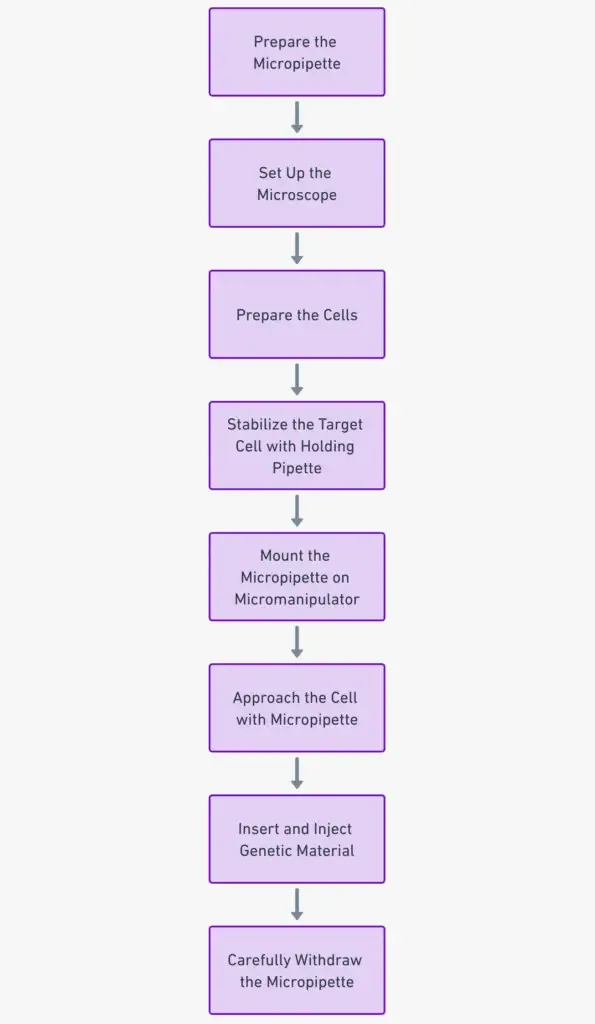 Steps in Microinjection
