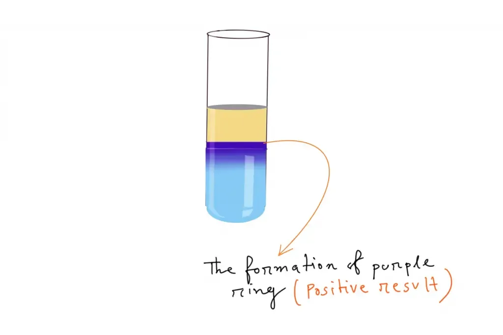 Molisch’s Test Principle
