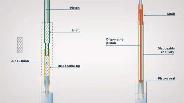 How Positive Displacement Pipettes Work | Image Source: www.labmanager.com
