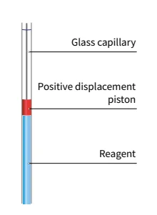 Principle of Positive Displacement Pipetting
