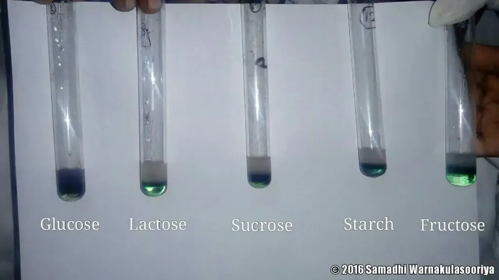 Result Interpretation of Molisch’s test
