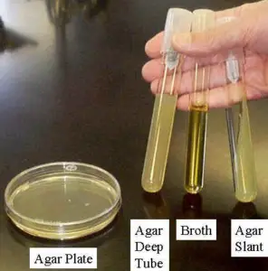 Preparation of Solid Media - Agar deep tubes, Agar Slants, Plates ...