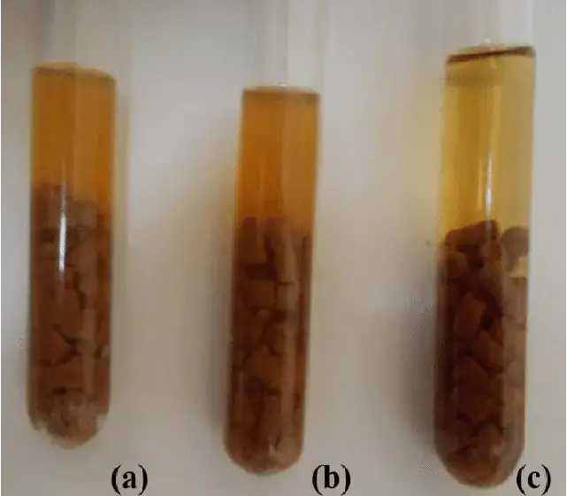 Cooked meat media with Clostridium perfringens. Tubes a & b showing 24 hrs anaerobic bacterial growth after inoculation with samples. Tube c showing cooked meat medium before inoculation.