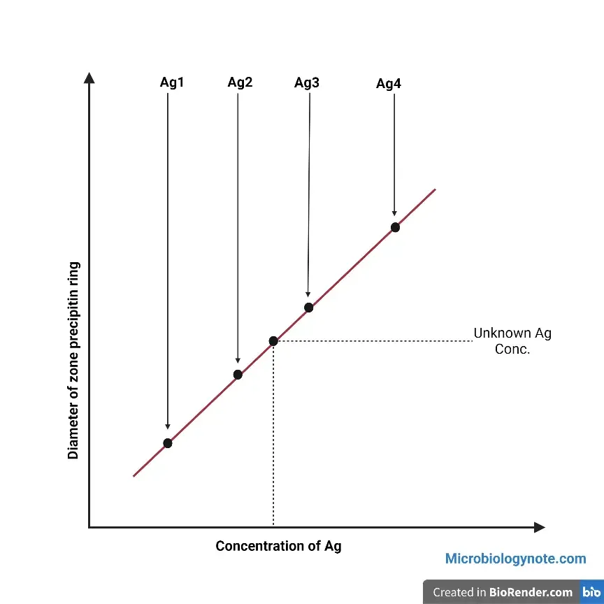 Single Radial Immunodiffusion graph | Result of Radial Immunodiffusion
