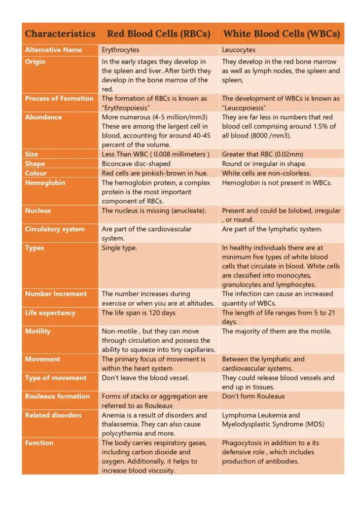 RBC vs WBC - Differences in Structure, Function, Count, and Lifespan 2 Differences between RBC and WBC – RBC vs WBC