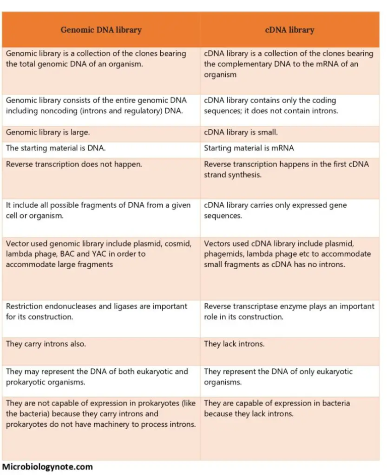 Difference between genomic and cdna library - Biology Notes Online